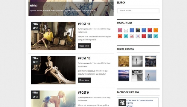 Koresponsive WordPress template