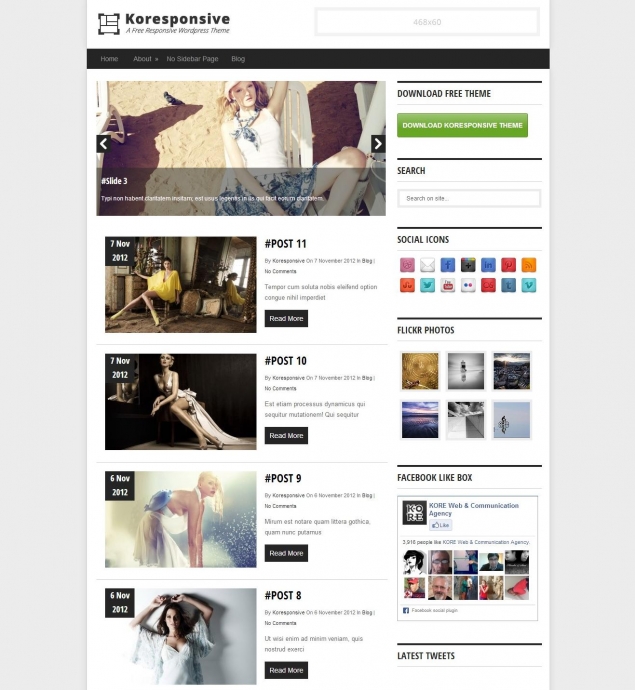 Koresponsive WordPress template