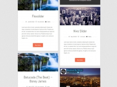 Suera WordPress template